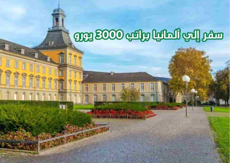 أعلنت ألمانيا عن فتح باب التقديم للسفر الدراسي براتب يصل إلي 3000 يورو