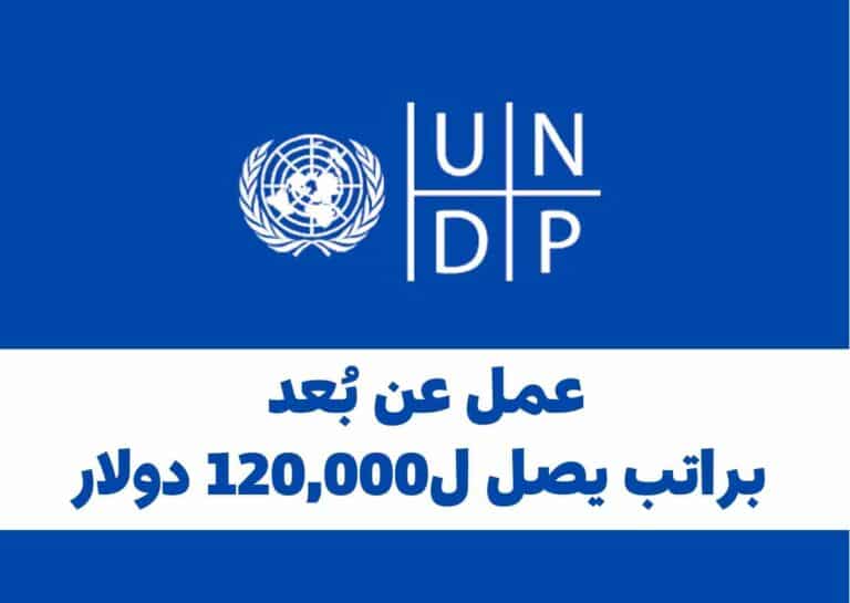 برنامج الأمم المتحدة يعلن عن 5 فرص عمل عن بُعد