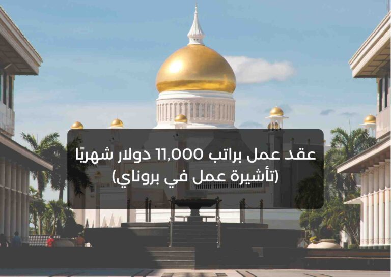 تأشيرة عمل في بروناي من خلال عقود عمل براتب 11,000 دولار شهريًا